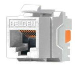 Belden AX101320 módulo de conector de red