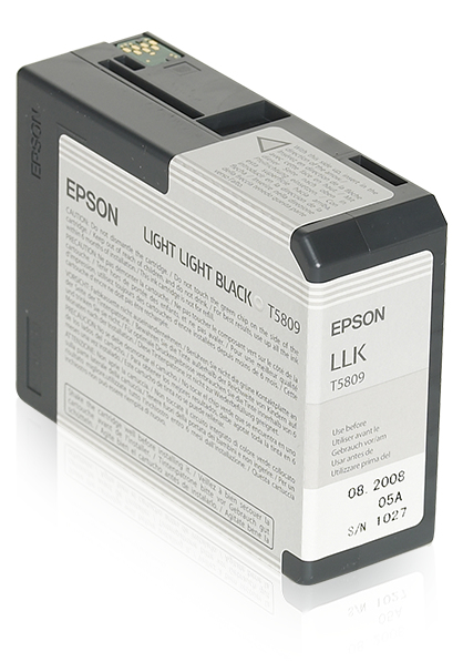 Epson Cartucho T580900 gris claro