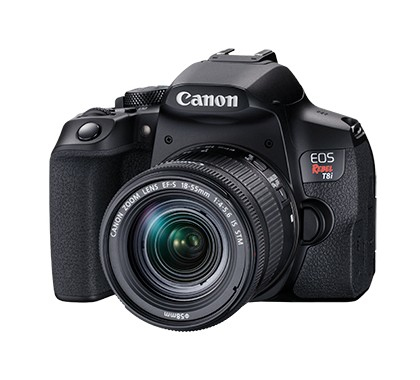 Canon EOS Rebel T8i EF-S 18-55mm IS STM Juego de cámara SLR 24,1 MP CMOS 6000 x 4000 Pixeles Negro