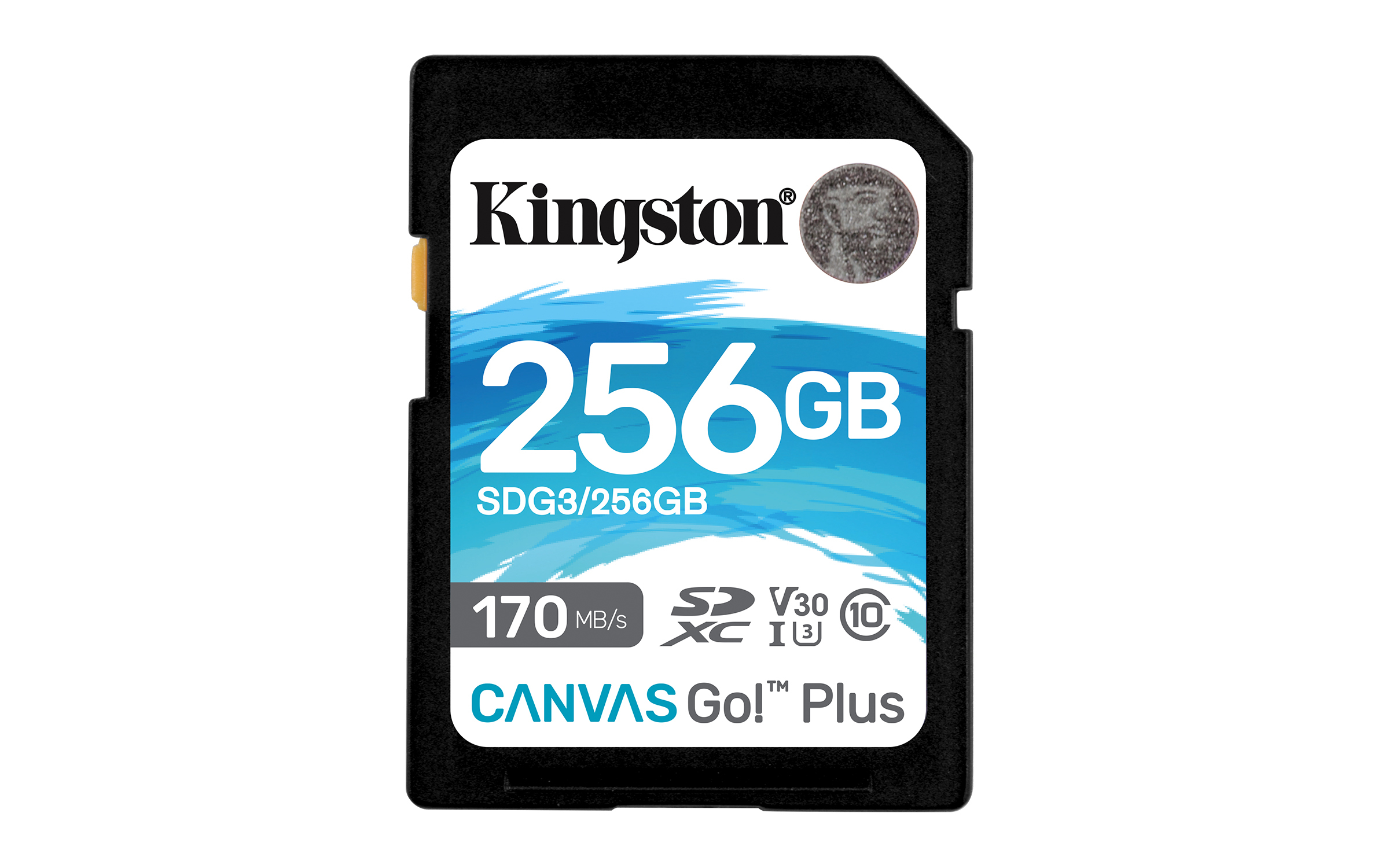 Kingston Technology Canvas Go! Plus memoria flash 256 GB SD UHS-I Clase 10