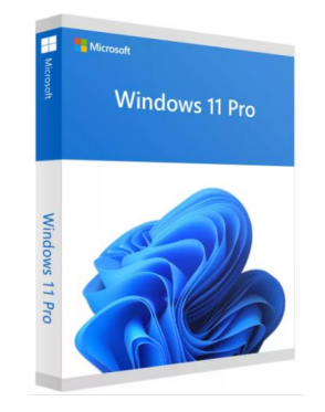 Microsoft Windows 11 Pro, OEM 1 licencia(s)