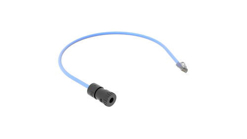 PANDUIT  Cable de Conexión en Campo Jack a Plug RJ45, Categoría 6A, CMP (Plenum), 0.5 Metros, Color Azul