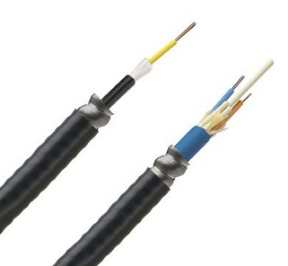 PANDUIT  Cable de Fibra Óptica de 12 hilos, Monomodo OS2, Interior/Exterior, Armada, Loose Tube 250um, OFCR (Riser), Precio Por Metro