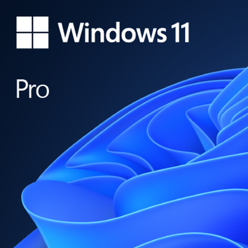 Microsoft Windows 11 Pro Producto empacado completamente (FPP) 1 licencia(s)