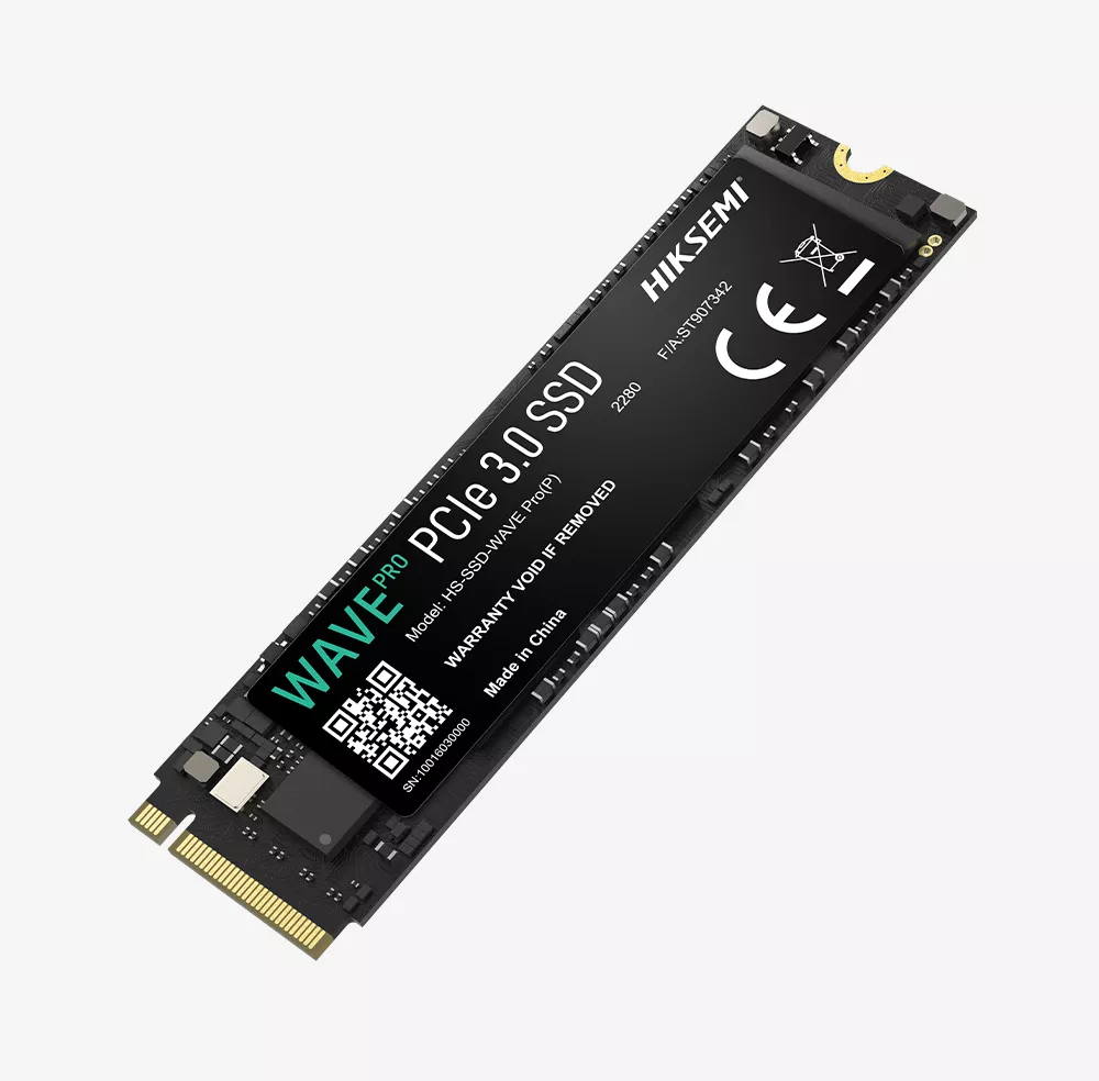 HS-SSD-WAVEPRO(P)/256G