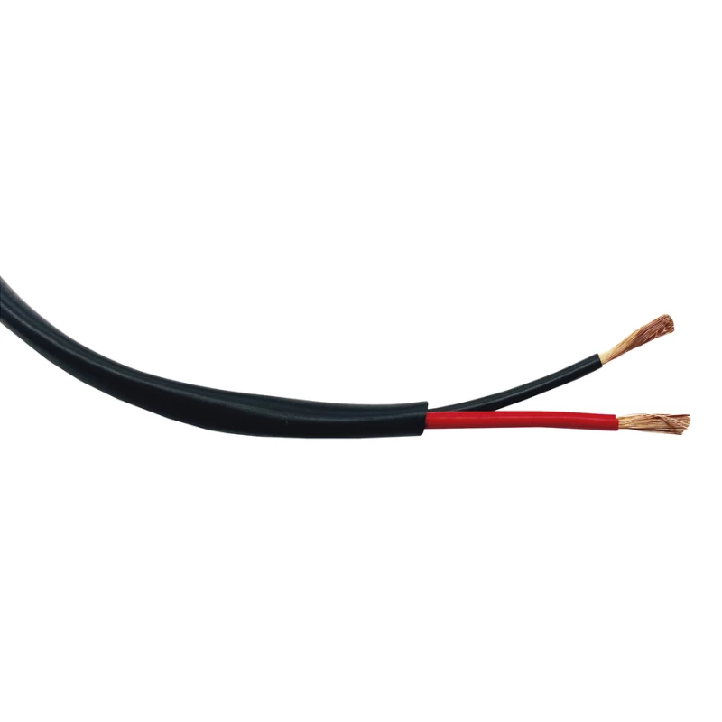 EP-1202-EXT/500