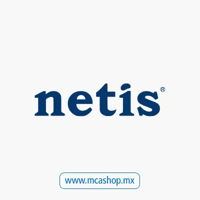 Netis System