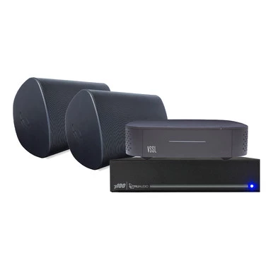 A1X/2WSB-T100