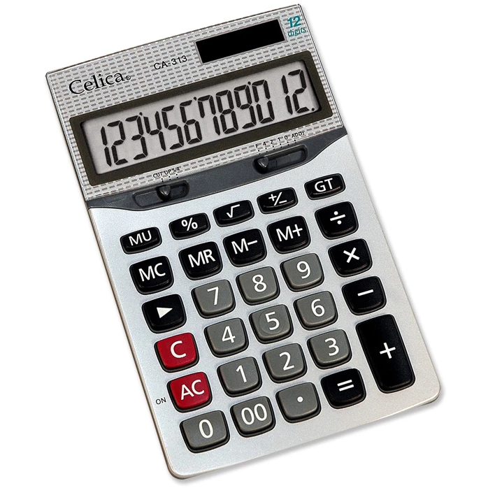 CA-313
