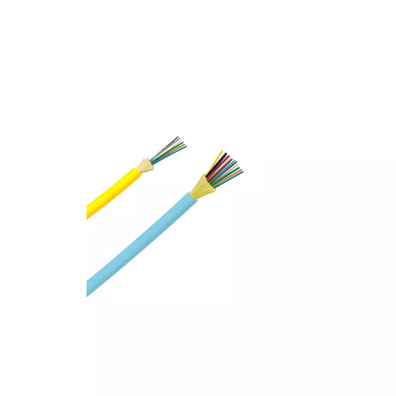 FODLZ24
