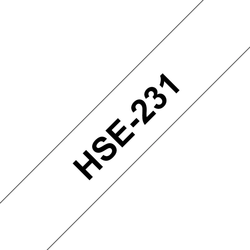 HSE231