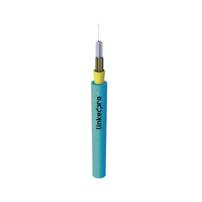 LP-IC-OM3-R-06