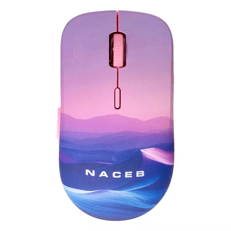 Na-0138B