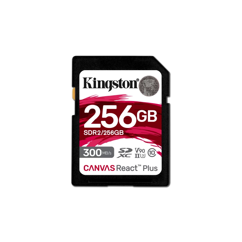 SDR2/256GB