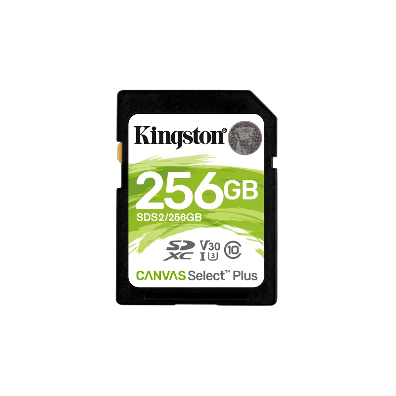 SDS2/256GB