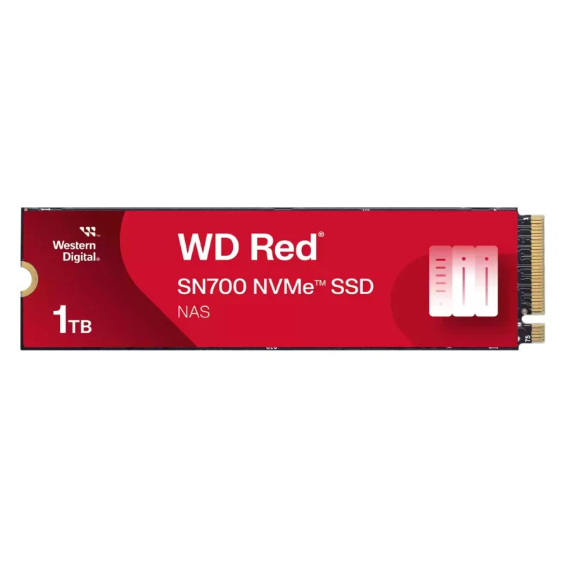 WDS100T1R0C