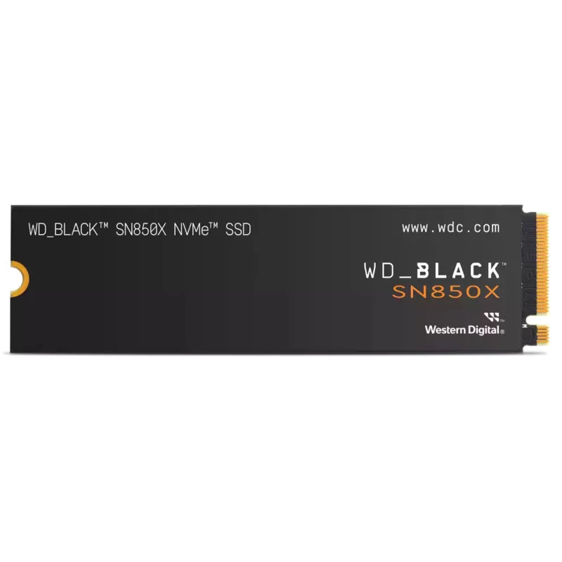 WDS100T2X0E