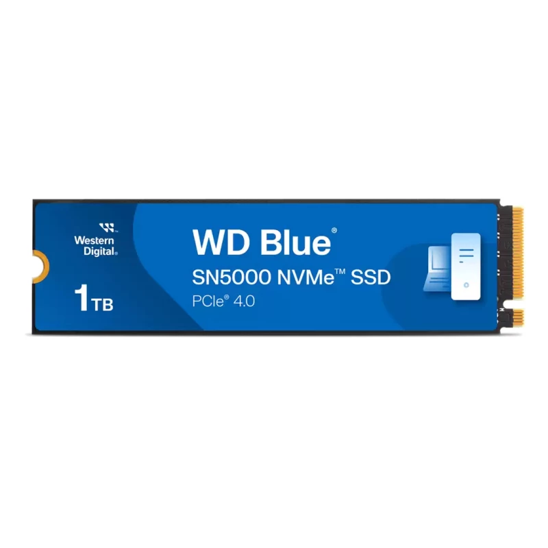 WDS100T4B0E
