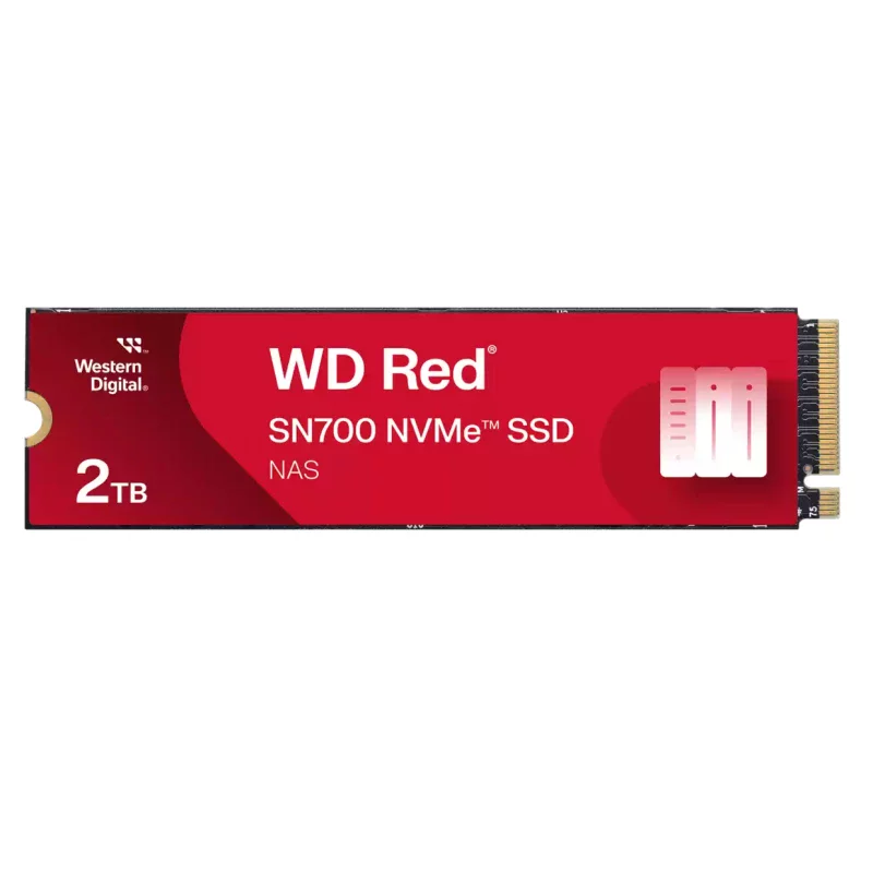 WDS200T1R0C