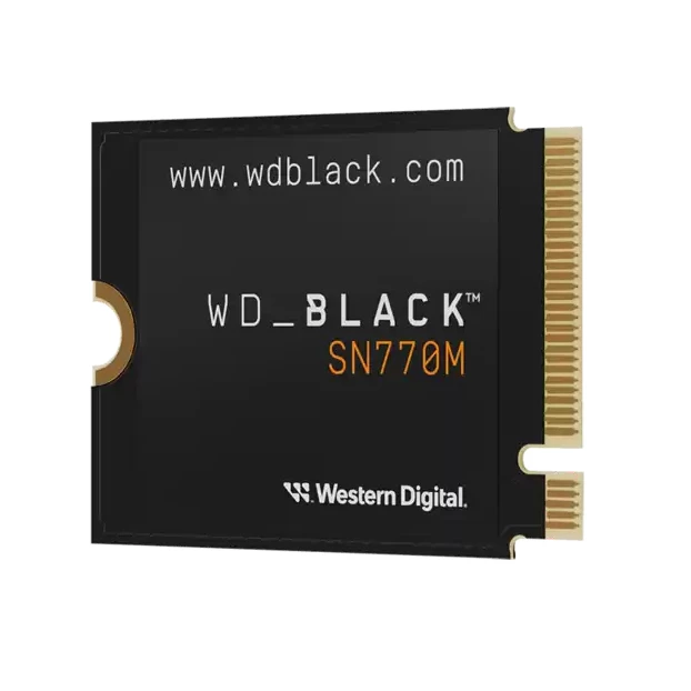 WDS200T3X0G