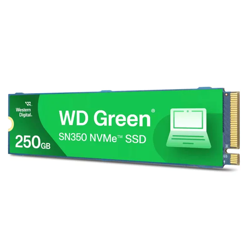 WDS250G2G0C